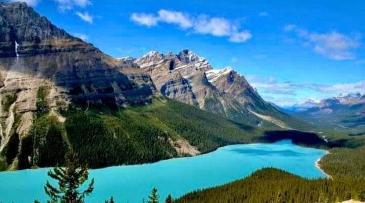 Alberta AAIP Express Entry Draw 2026