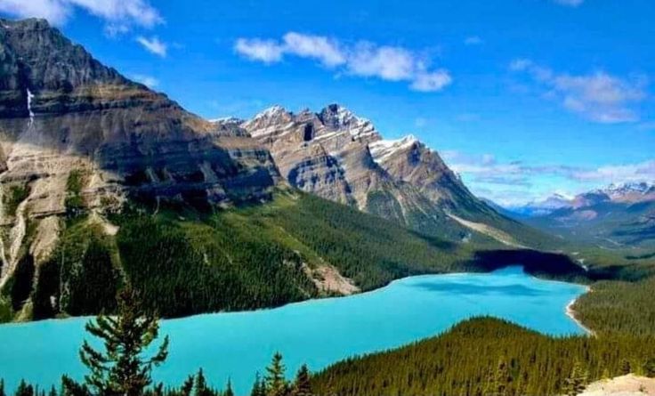 Alberta AAIP Express Entry Draw 2026