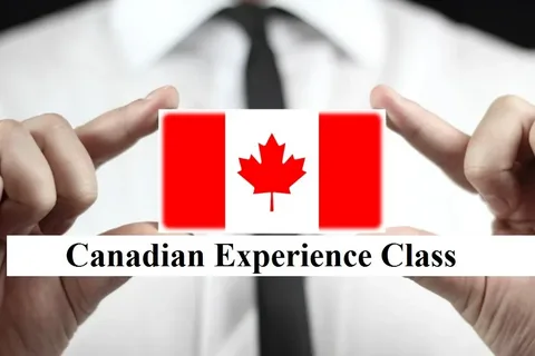 August 18 Canadian Experience Class Draw 2026