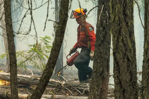 BC wildfire support for migrant workers