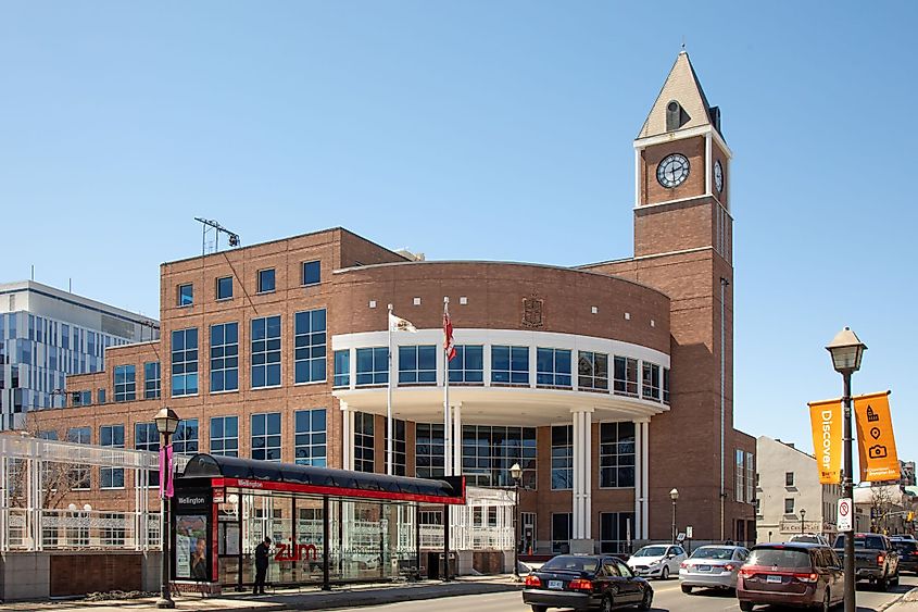 Immigration Consultant in Brampton